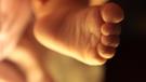 IVF practices have been put under a microscope after a mix up raised concerns about the industry. 