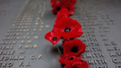 The remains of four Australian soldiers who died during World War I have been discovered during a fieldwork activity in northern France.