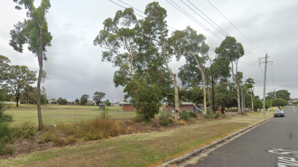 Five people have been charged after a wild brawl in Sydney.