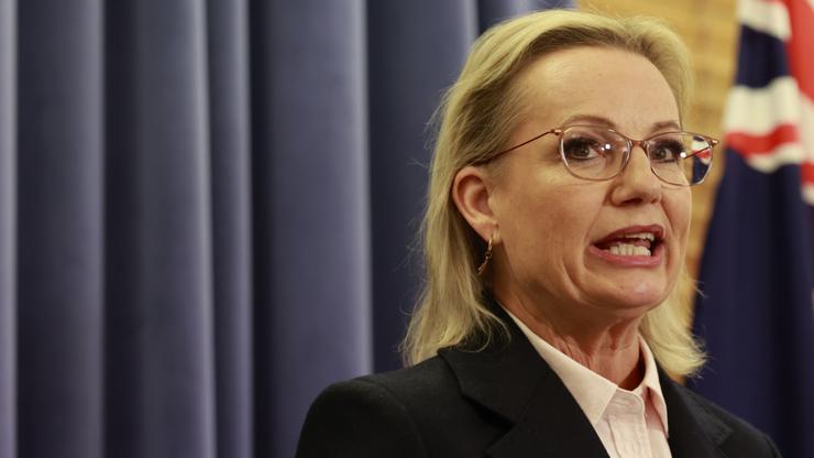 Liberal leader Sussan Ley shares private heartbreak of mother’s ill health. 
