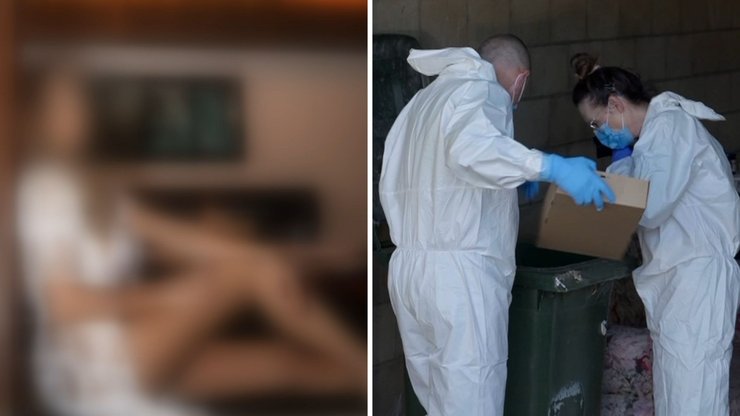 Police and forensics have spent the day at a Port Lincoln home where a man was allegedly murdered by a former reality TV star.